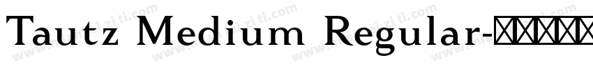 Tautz Medium Regular字体转换